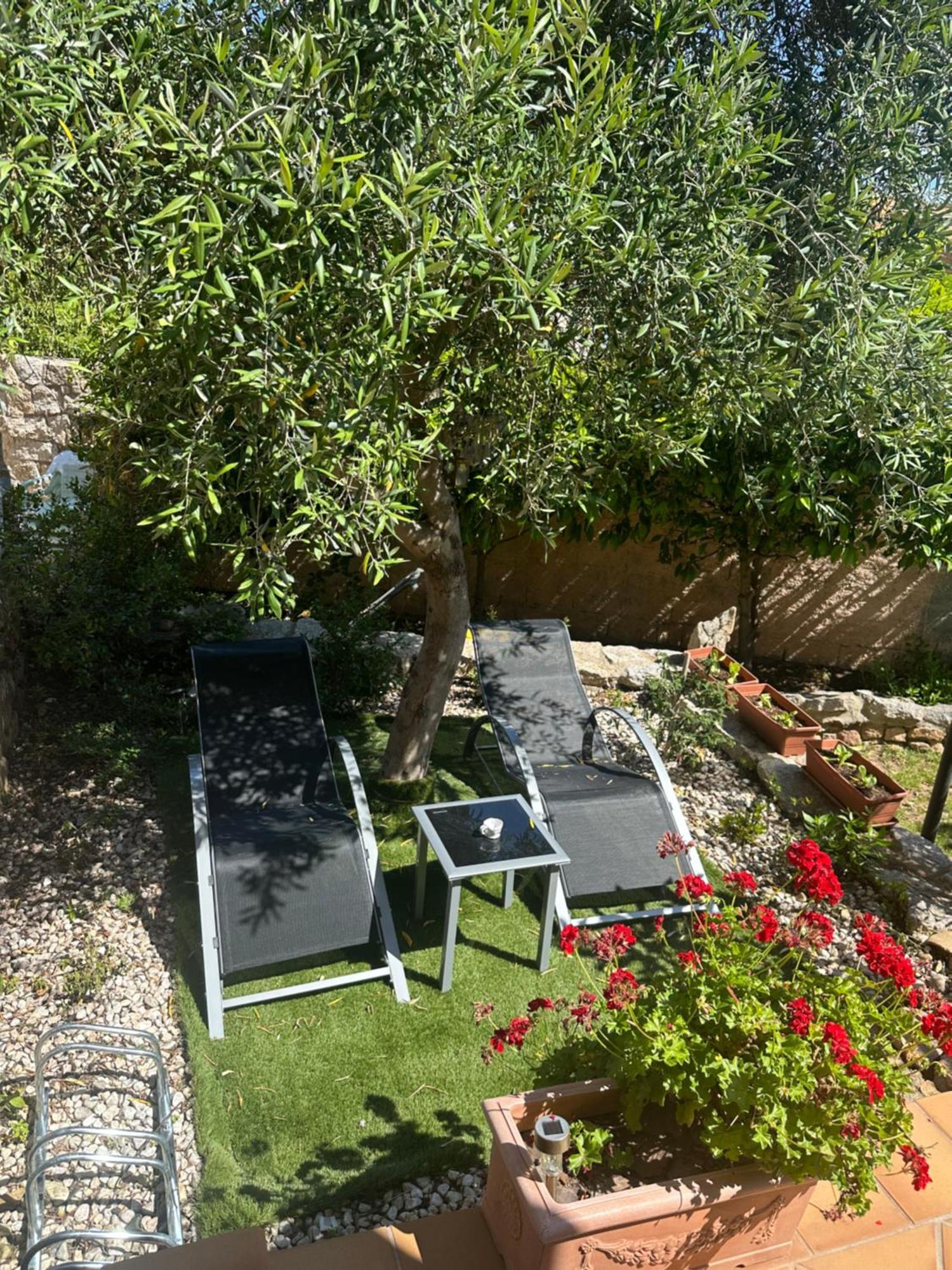 Villa le Bougainvillea La Maddalena  Esterno foto